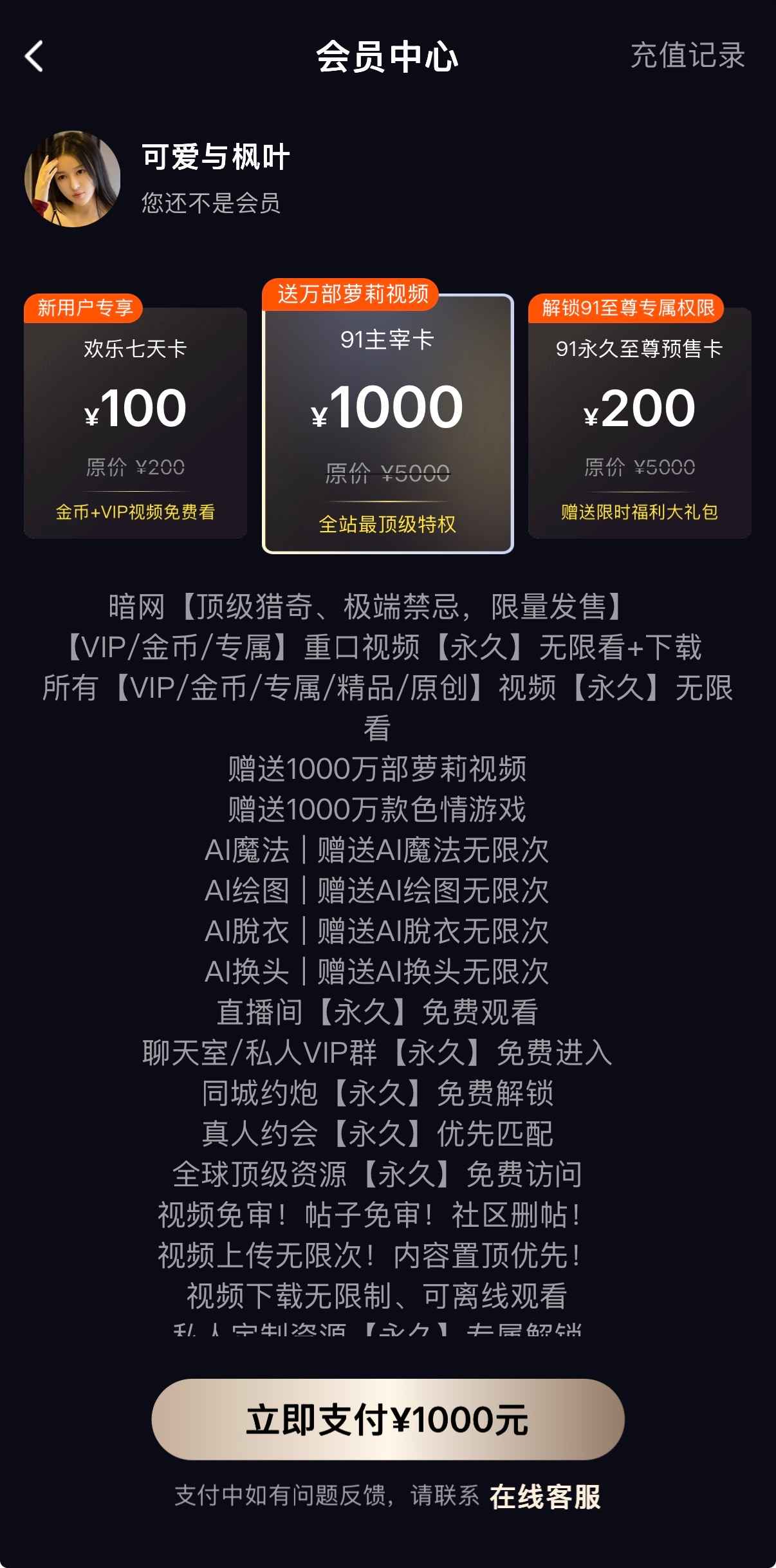 91PO会员中心主宰卡VIP特权与AI功能权益列表